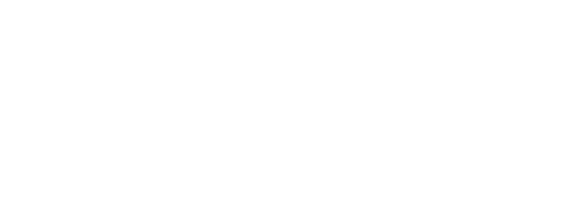 印尼王掌柜