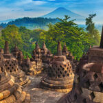 制造业新主场！中爪哇凭什么逆袭成“香饽饽”？