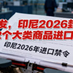 突发，印尼2026封杀12个大类商品进口！