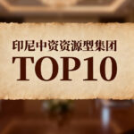 印尼中资资源型集团前10：谁在重塑新版图？