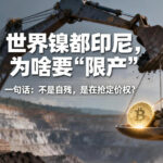 世界镍都印尼，为啥要“限产”？