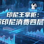 印尼王掌柜拆解印尼消费四层逻辑