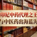 深挖印尼中药代理之王SSA与中医药出海蓝海