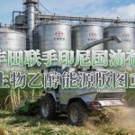 丰田联手印尼国油布局生物乙醇能源版图重构