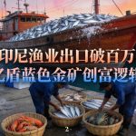 印尼渔业出口破百万亿盾蓝色产业创富逻辑