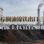 煤炭棕榈油镍铁出口三大件资源主权管控解析