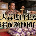 印尼大蒜进口生意藏着配额种植门槛